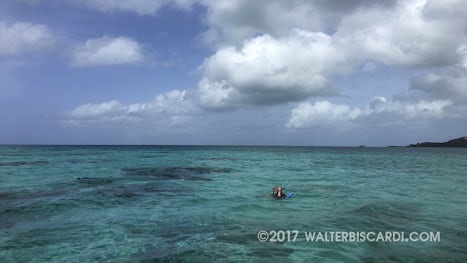 Antigua Reef Riders.  A look at the 2 mile reef where you snorkel.
