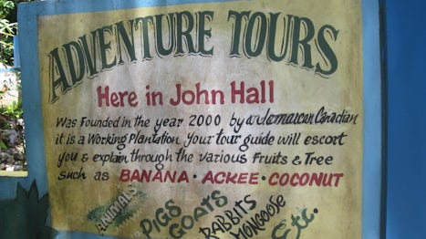 Go Native Jamaica! excursion.  John Hall stop for viewing caged birds and a
