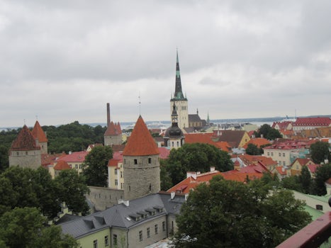 View from walking tour in Estonia