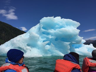 ice berg viewing