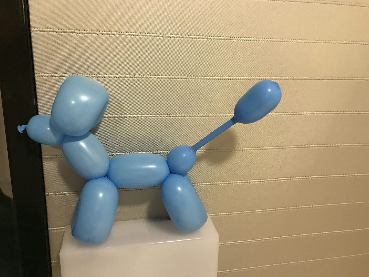 Made a dog out of a balloon.