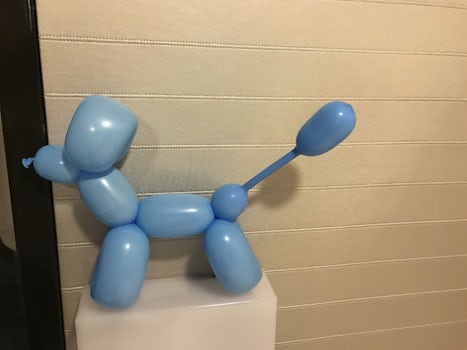 Made a dog out of a balloon.