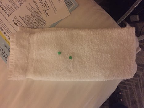 Towel animal on the first night of the cruise.  I decided it was a flatworm