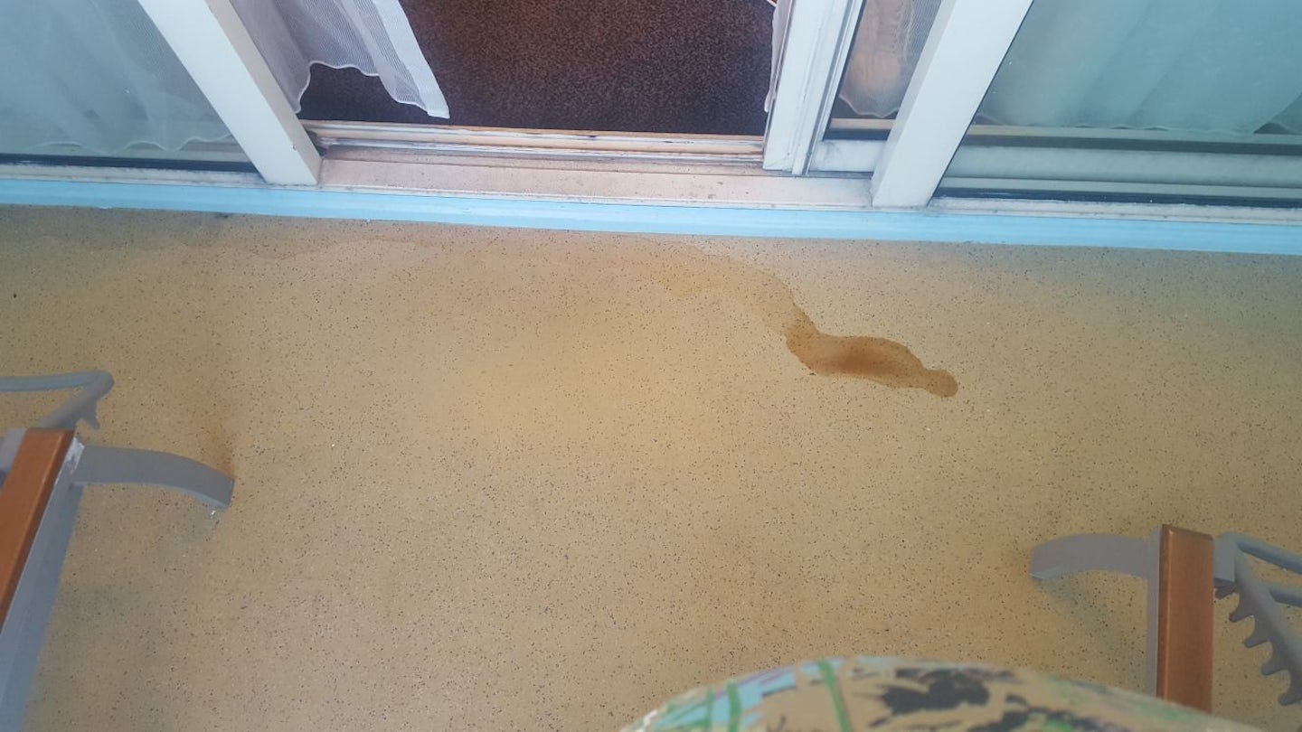The coke spill that sat on our balcony for 5 days out of the 7.