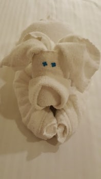 One of the many cute towel animals left for us when they turned down our ro