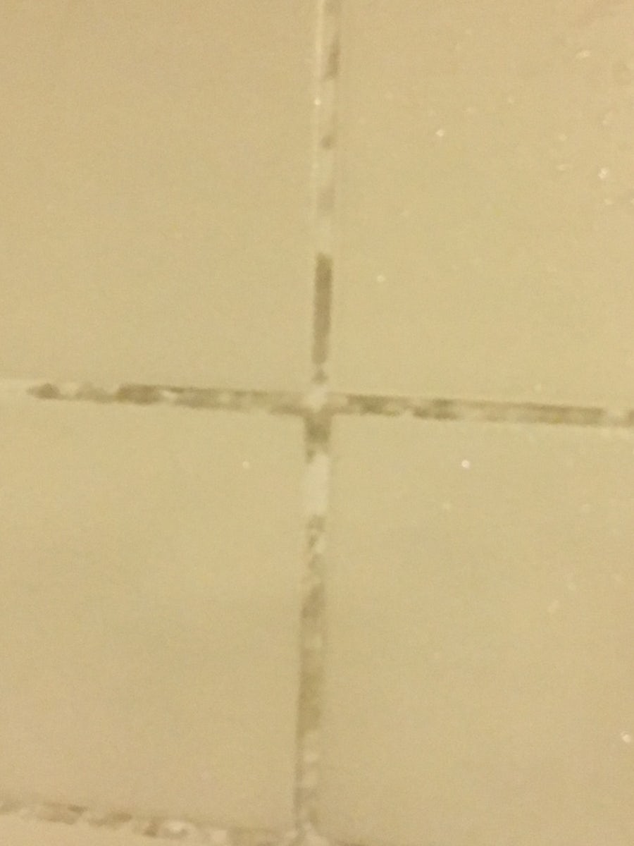 mold on the bathroom walls