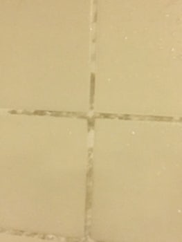 mold on the bathroom walls