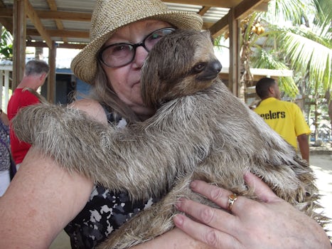 This photo is my mom holding an animal sloth at the Animal Sloth and Monkey