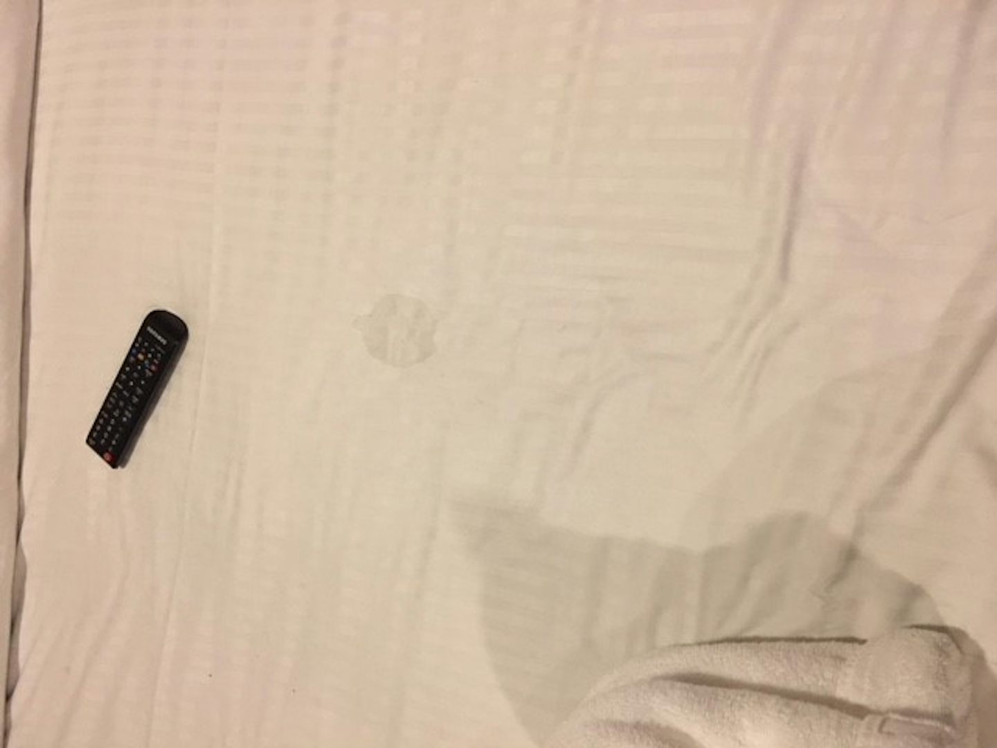 The spot on our bedsheet - not from us.