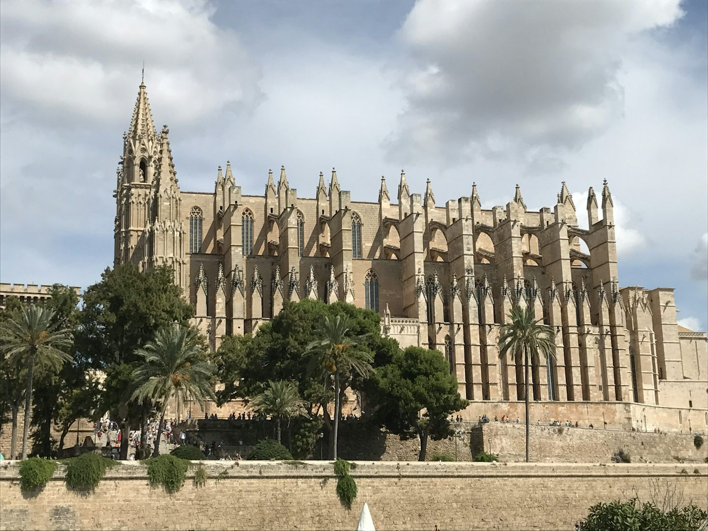 Cathedral in Palma