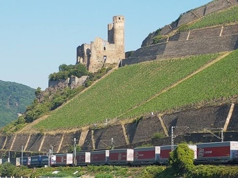 Just one of the castles on the Rhine