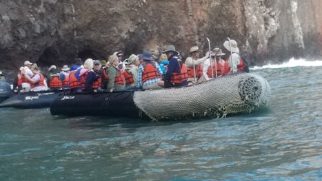 Zodiac rides to see wildlife. We seen everything from Sea Lions to Sea Turt