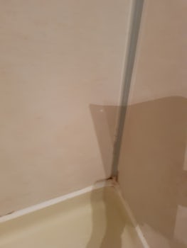 Mould in shower unit