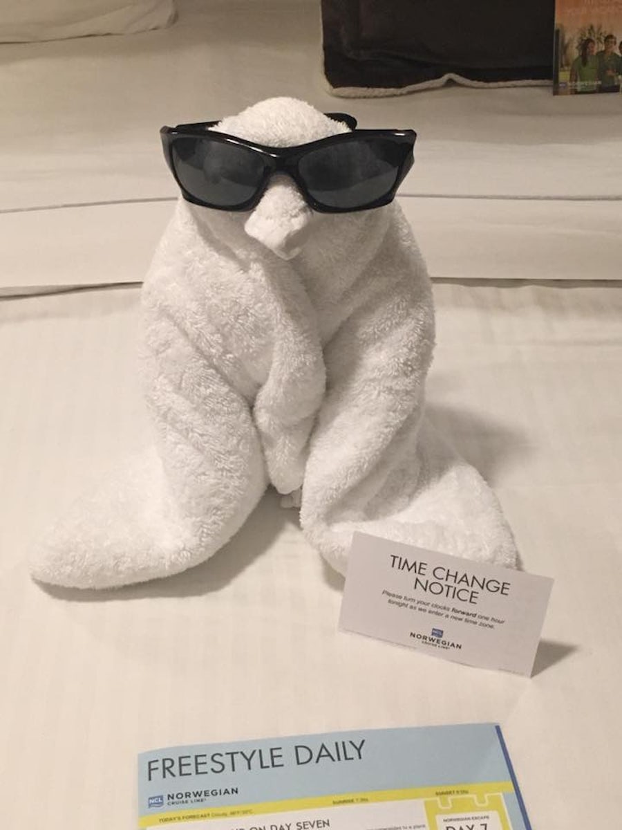 One of the many towel animals left on our bed. This is my favorite.