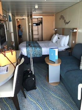 This is the Stateroom with Oceanview Balcony. The room is too small for a family of 4. 2 people or 3 the most can fit in the room. Nowhere to put the luggages. No switches in the bathroom except for shaving.