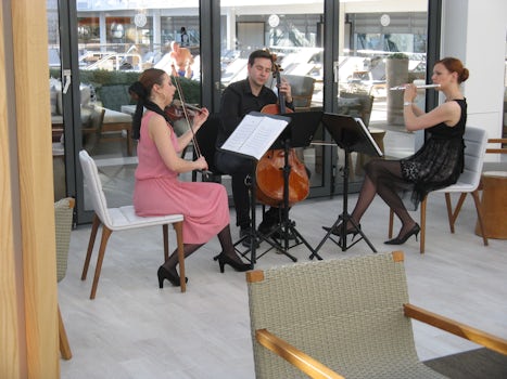 The Viking Classical Trio at Afternoon Tea in the Wintergarden