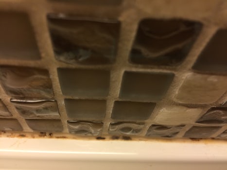 Mould in Bathroom.