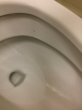 Toilet still dirty even after being "sanitized"...