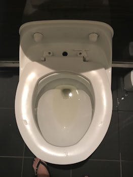 No flush button toilets not working