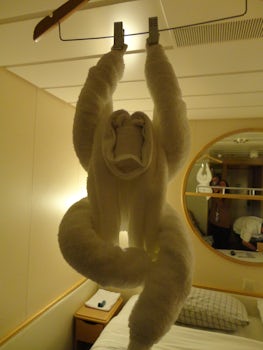 Towel monkey hanging from ceiling.