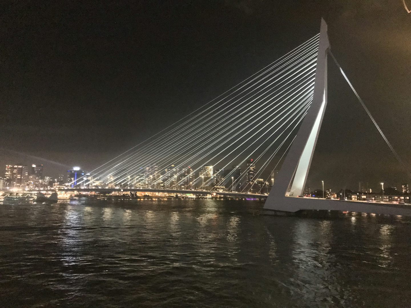 The Erasmus bridge by the Rotterdam port