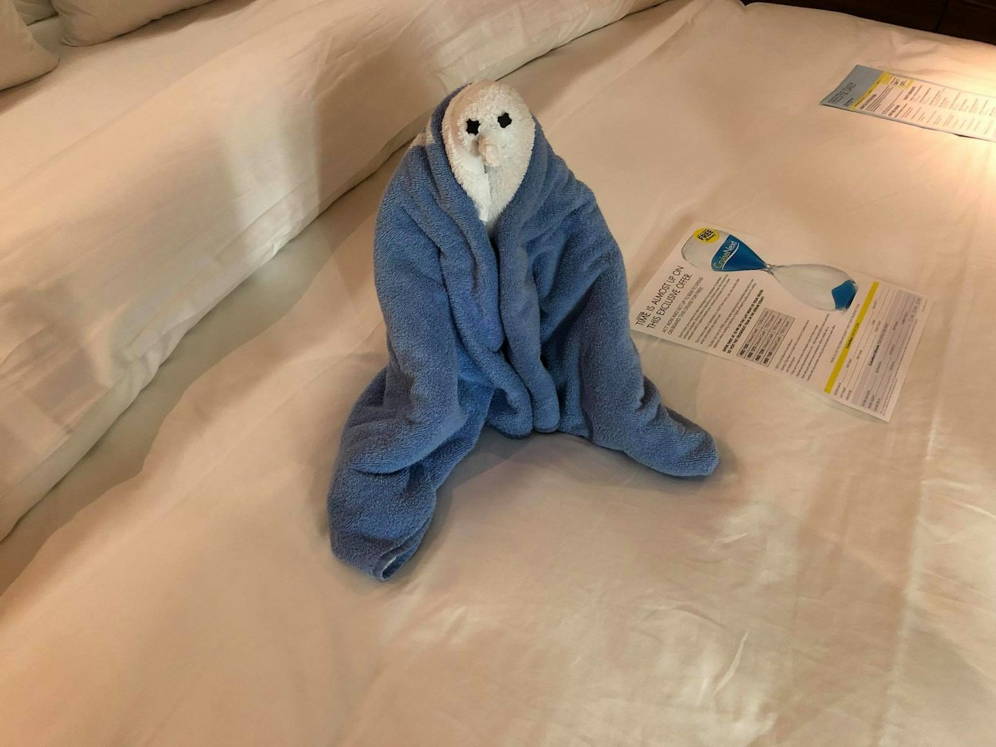 Our cabin steward made fun towel animals each night.