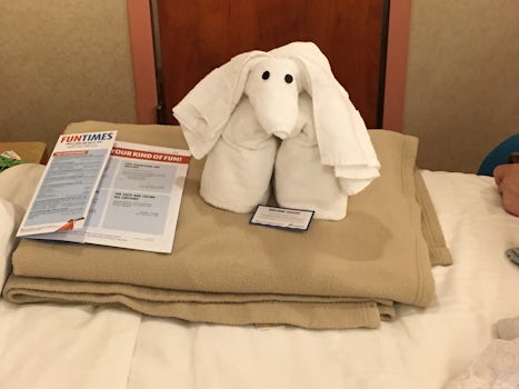 Towel animal .... New one daily!