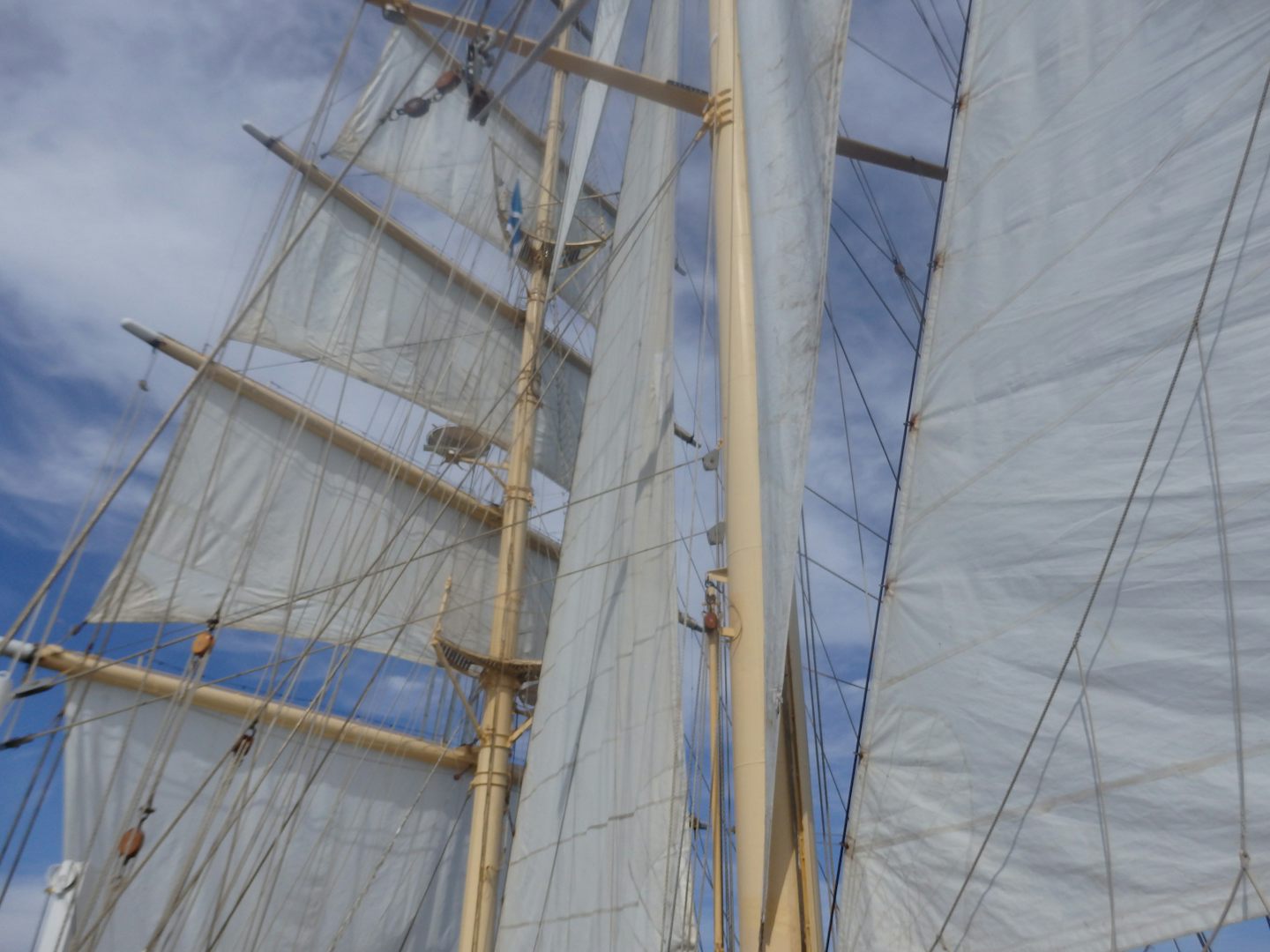View of sails while sailing under sail power only.