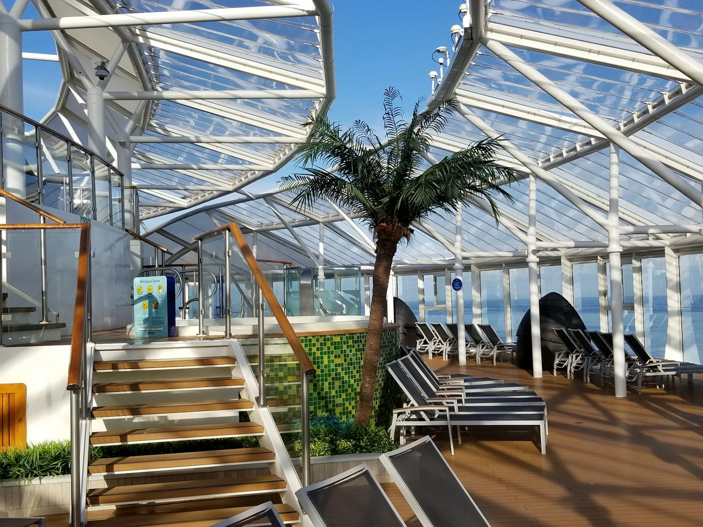 Picture of the huge Solarium on 4 deck levels!