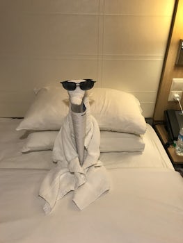 I guess I left my sun glasses in the room
