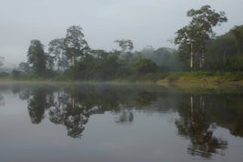 Morning mist in the Amazon region