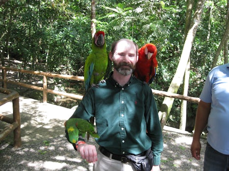 Me with the parrots at Gumbalimba nature park, Roatan