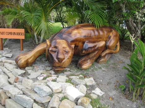 giant wooden panther, at entrance to Harvest Cay nature park (free admissio