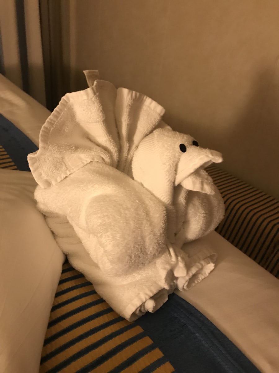 Turkey Towel Animal