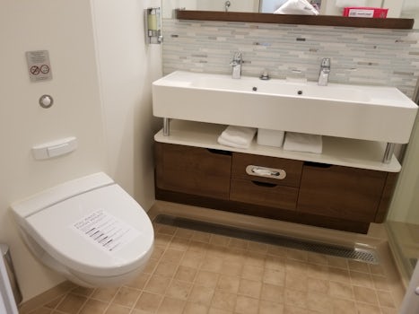 Mini-suite bathroom