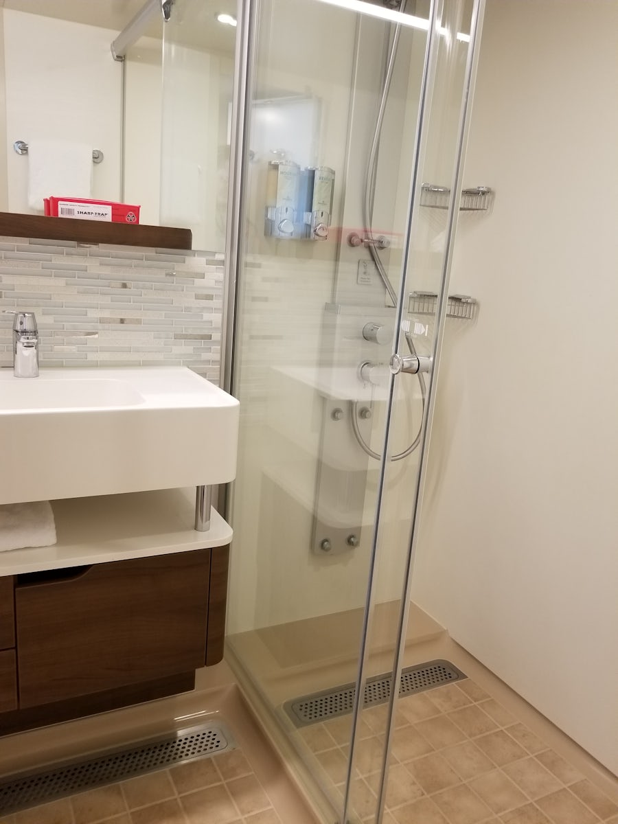 Mini-suite shower