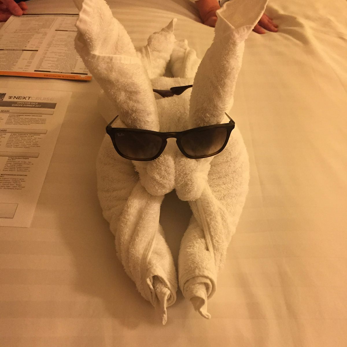 Cute towel animals left on our bed everyday!