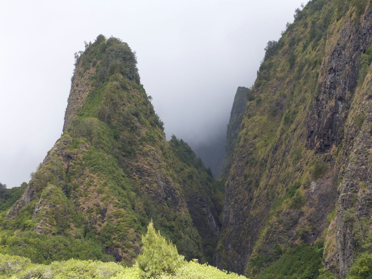 Iao State Valley
