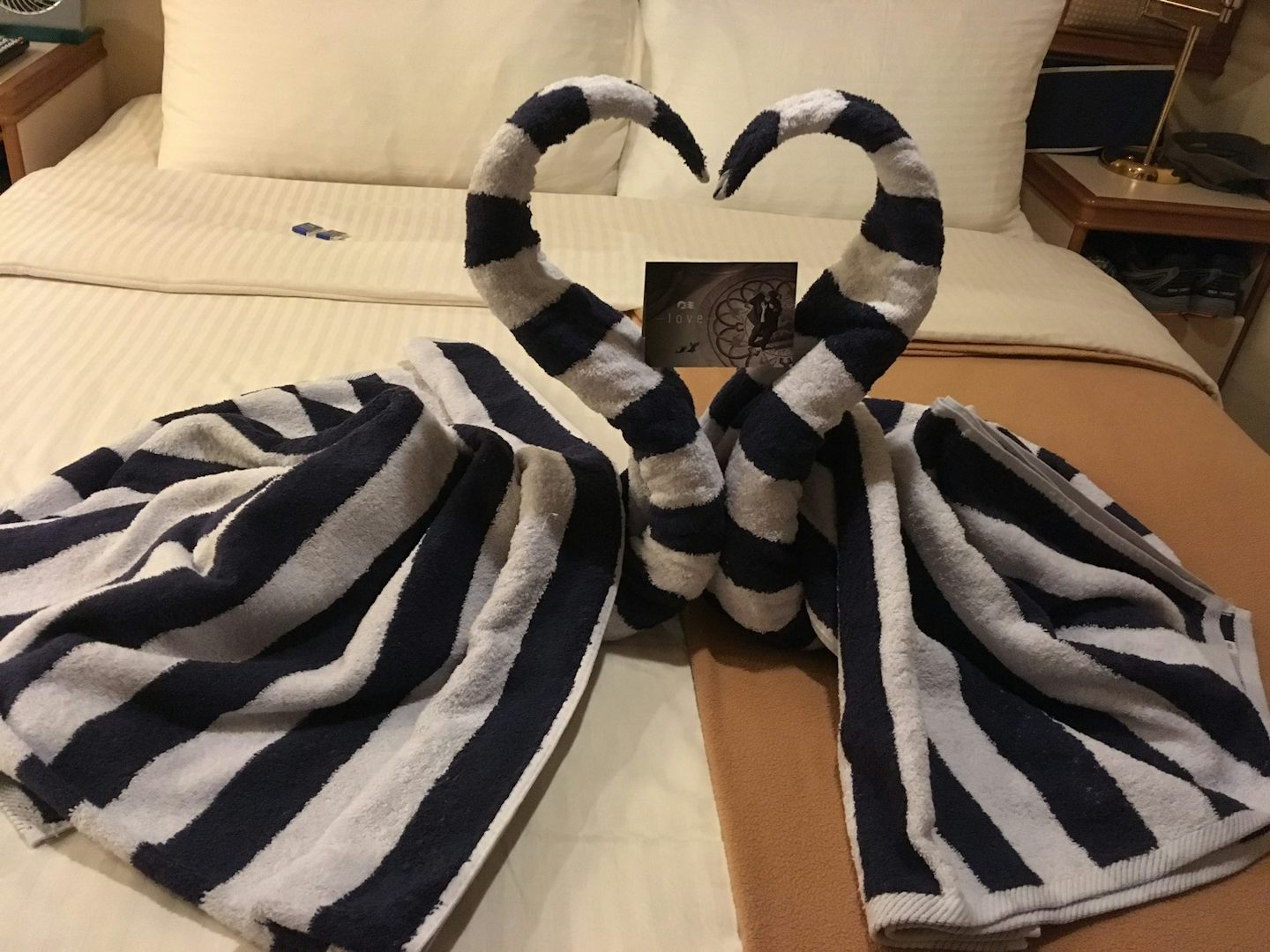 Princes cruises helped us celebrate our 42nd wedding anniversary. Our room store made this wonderful towel animal for us.