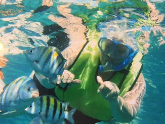 Snorkeling in Cozumel on the fury