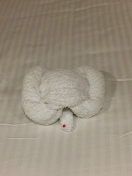 Loved the Towel Animals