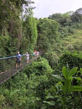 Walking the Suspension Bridge at the Rain Forest
In Costa Rica