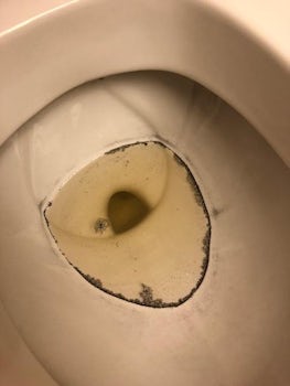 Mold in toilet