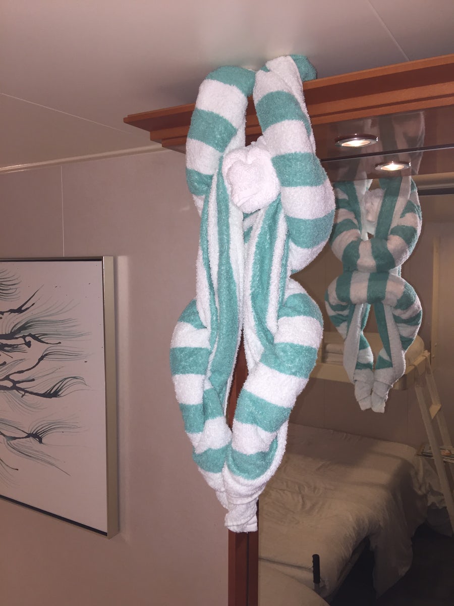 Towel animal from my awesome cabin steward, Gede! He gave us all the comforts of home on our cruise!