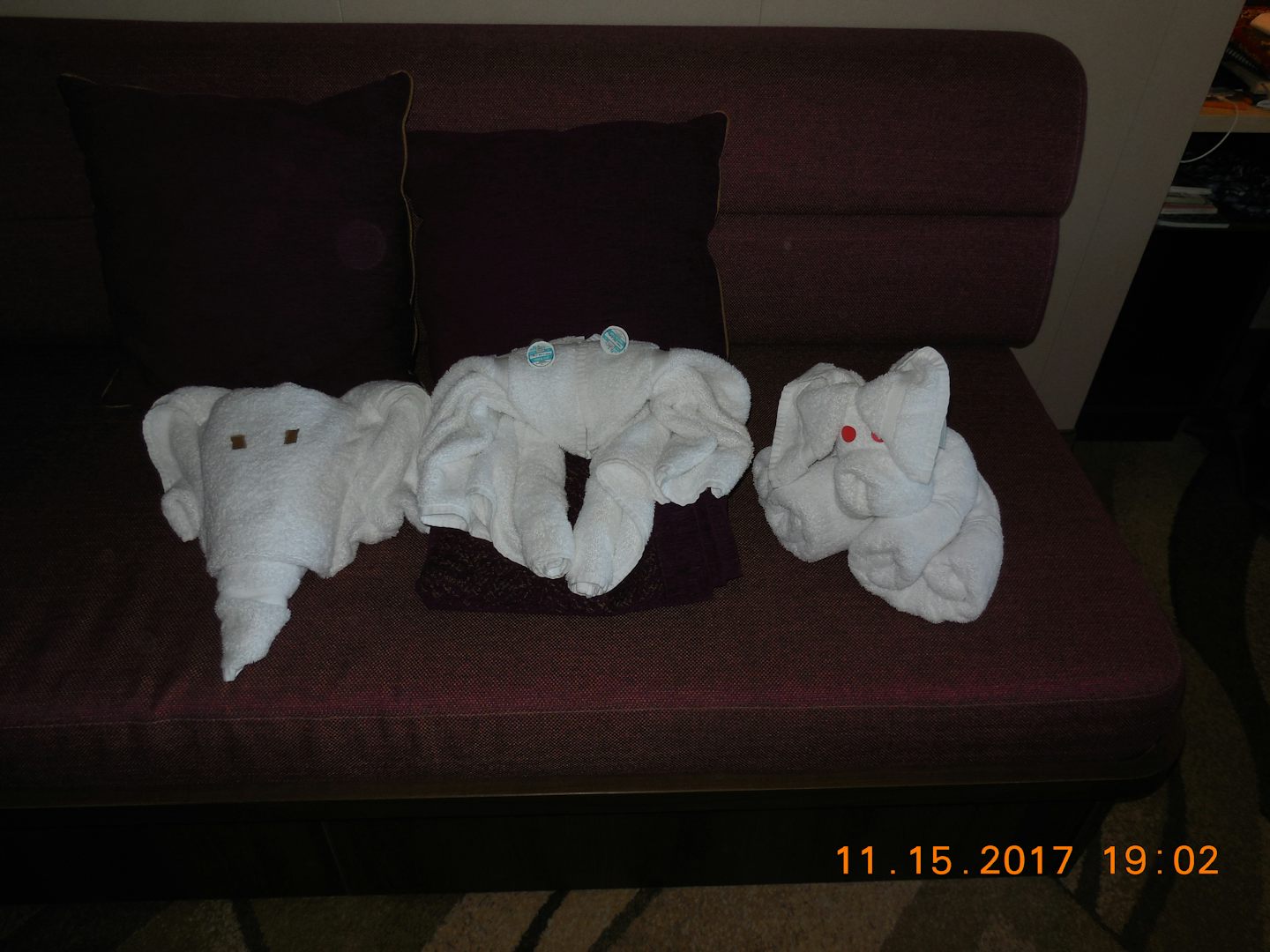 Some of my Towel Friends