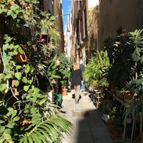 from pur segway tour a very narrow road we visited in Cagliari