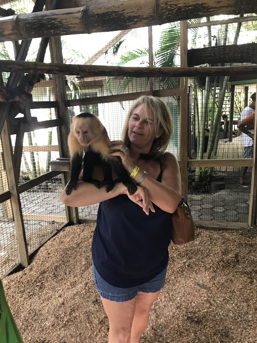 Animal park Honduras , holding a white faced monkey