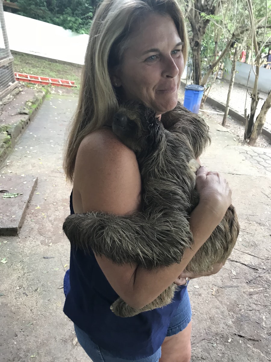 Animal park Honduras , holding a sloth