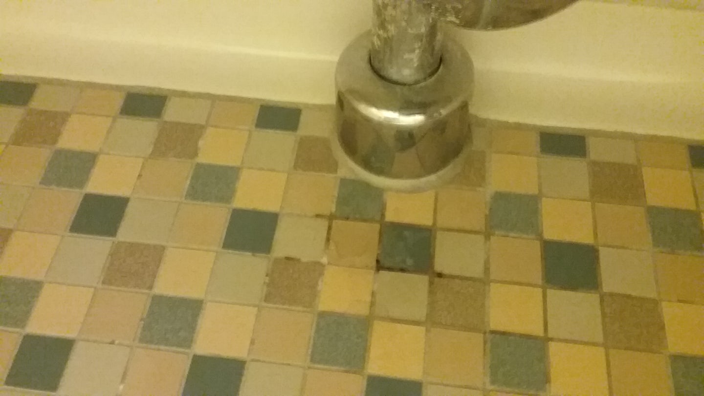 Mold in Bath Grout