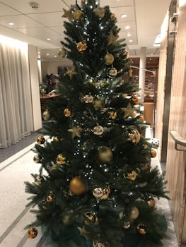 The tree in the lobby